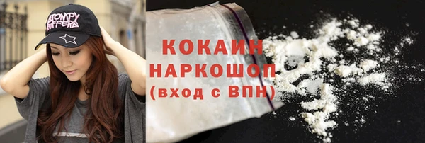 мдпв Протвино
