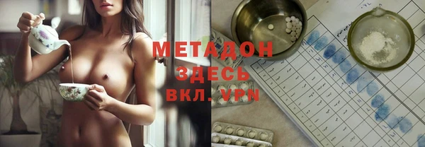 прущие грибы Бородино