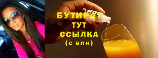 прущие грибы Бородино