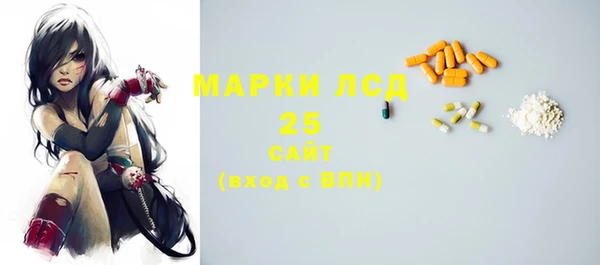прущие грибы Бородино