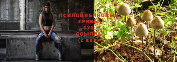 хмурый Бронницы