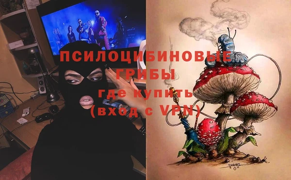 твердый Богородск
