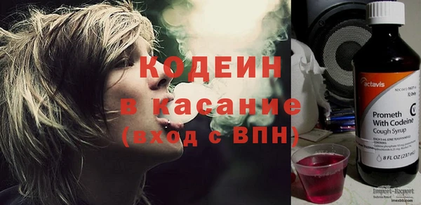 прущие грибы Бородино