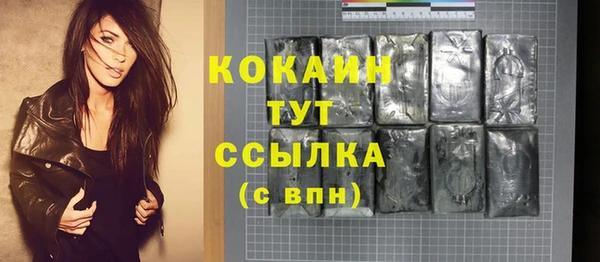 прущие грибы Бородино
