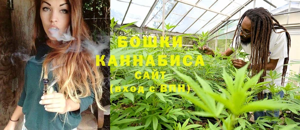 хмурый Бронницы