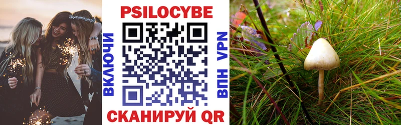 Галлюциногенные грибы мицелий  Кашира 